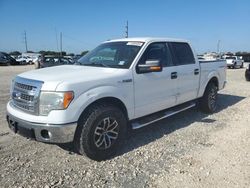 Salvage cars for sale at Temple, TX auction: 2014 Ford F150 Supercrew