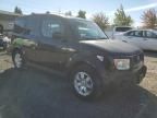 2006 Honda Element EX