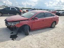 Salvage cars for sale at Arcadia, FL auction: 2019 Hyundai Sonata SE