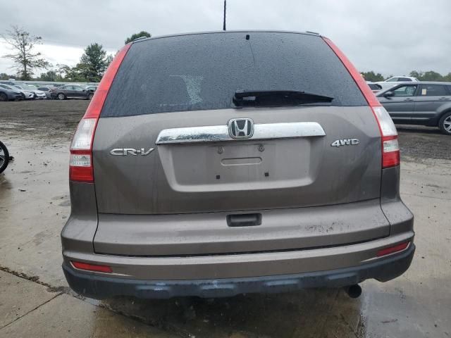 2010 Honda CR-V EXL