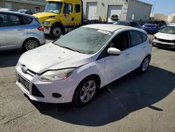 2014 Ford Focus SE en venta en Martinez, CA