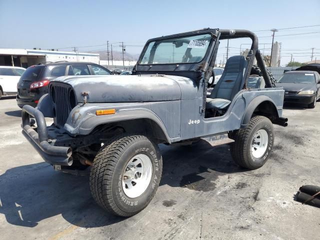 1981 Jeep Jeep CJ5