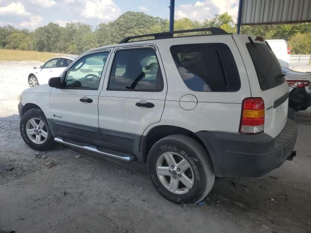 2007 Ford Escape HEV