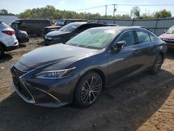 Flood-damaged cars for sale at auction: 2024 Lexus ES 350 Base