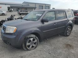 Salvage cars for sale at Earlington, KY auction: 2014 Honda Pilot EX