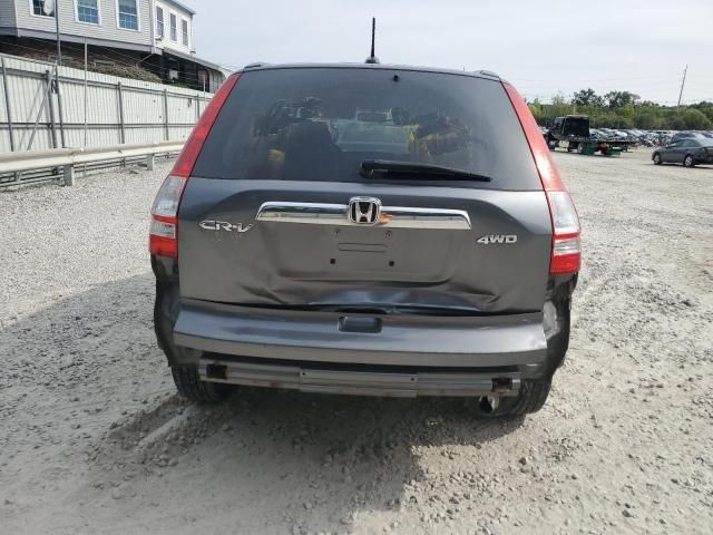 2010 Honda CR-V EXL