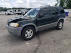 2002 Ford Escape XLT