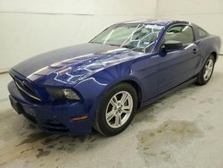 Salvage cars for sale at Houston, TX auction: 2014 Ford Mustang