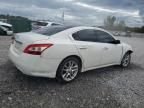 2009 Nissan Maxima S