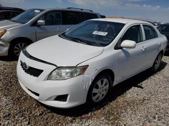 2009 Toyota Corolla Base