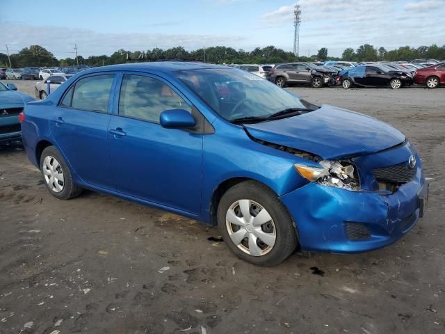 2010 Toyota Corolla Base