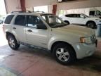 2008 Ford Escape XLT