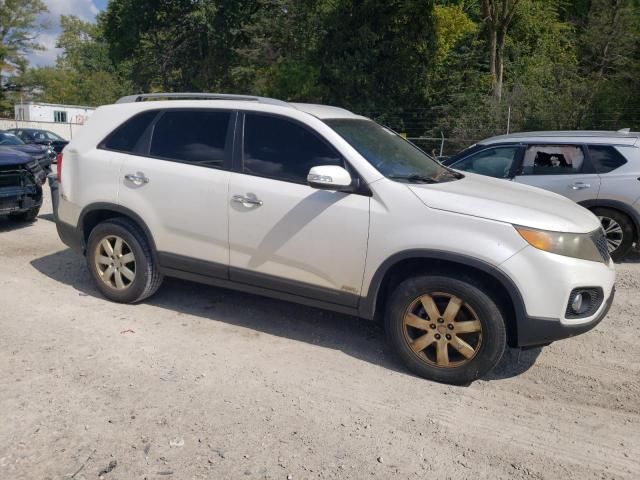 2011 KIA Sorento Base