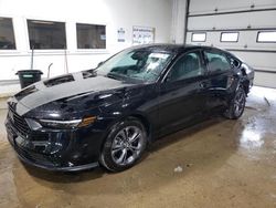 Salvage cars for sale at Ham Lake, MN auction: 2023 Honda Accord EX