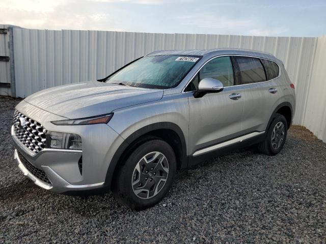 2023 Hyundai Santa FE Blue