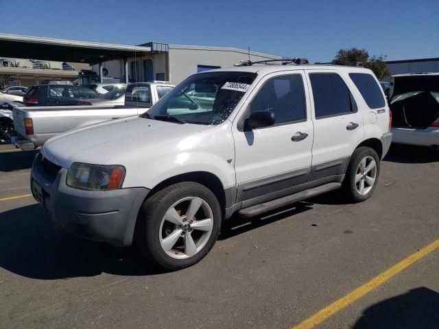 2004 Ford Escape XLS