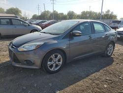 Salvage cars for sale at Columbus, OH auction: 2014 Ford Focus SE