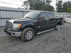 2011 Ford F150 Supercrew en venta en Gastonia, NC