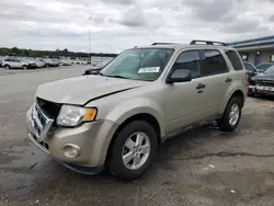 Salvage cars for sale at Memphis, TN auction: 2012 Ford Escape XLT