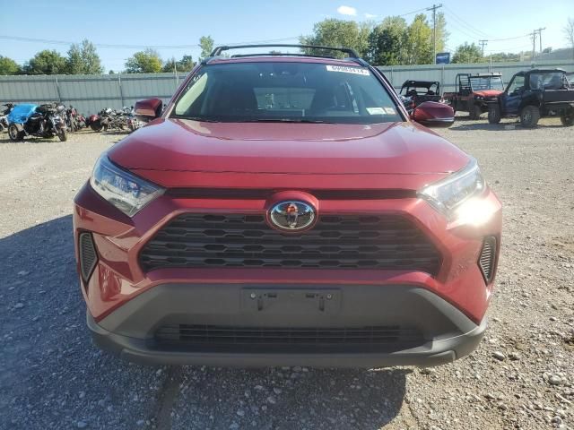 2019 Toyota Rav4 LE