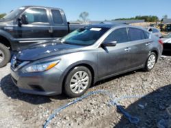 Salvage cars for sale at auction: 2017 Nissan Altima 2.5