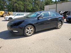 Salvage cars for sale at Ham Lake, MN auction: 2013 Hyundai Sonata SE