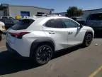 2024 Lexus UX 250H Base