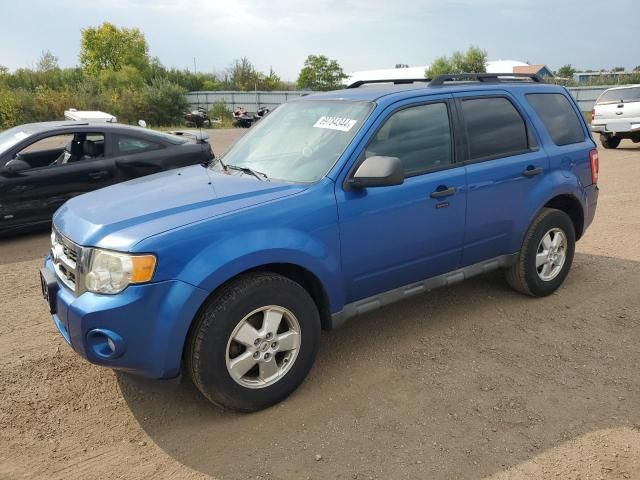 2011 Ford Escape XLT