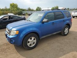 Salvage cars for sale at Columbia Station, OH auction: 2011 Ford Escape XLT