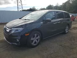 Salvage cars for sale at Windsor, NJ auction: 2019 Honda Odyssey EXL