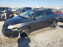 Toyota Corolla Vehiculos salvage en venta: 2010 Toyota Corolla Base