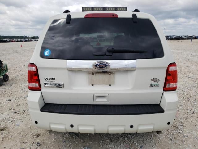 2010 Ford Escape Limited