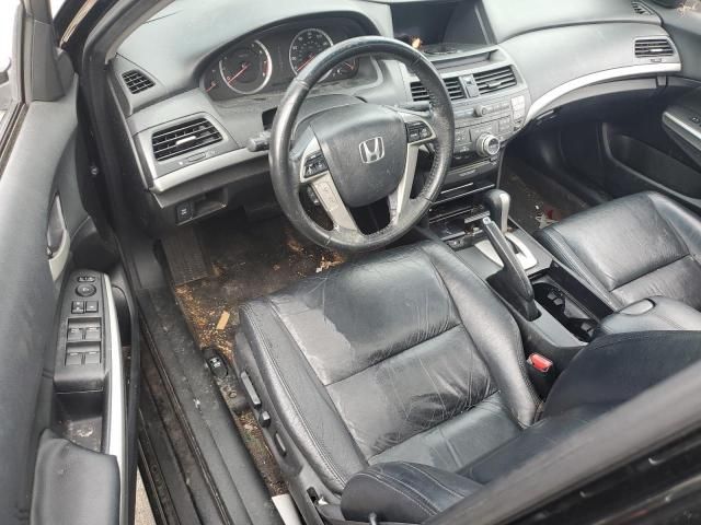 2008 Honda Accord EXL