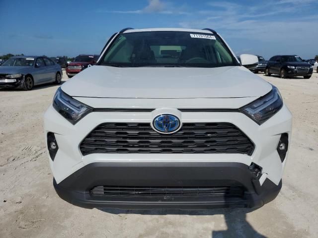 2024 Toyota Rav4 XLE Premium