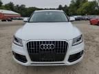 2014 Audi Q5 TDI Premium Plus