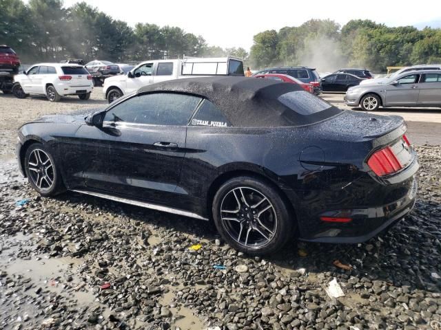 2021 Ford Mustang