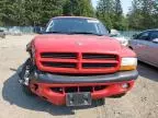 2003 Dodge Dakota Quad Sport