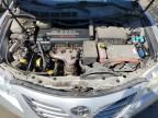 2007 Toyota Camry Hybrid