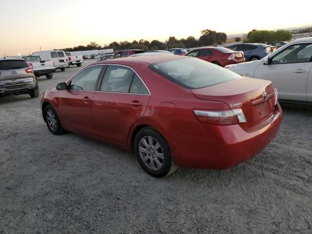 2007 Toyota Camry Hybrid