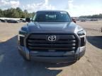 2024 Toyota Tundra Double Cab SR