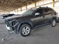 Salvage cars for sale at Phoenix, AZ auction: 2019 Toyota Rav4 XLE