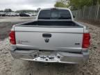 2005 Dodge Dakota Quad SLT