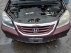 2010 Honda Odyssey EXL