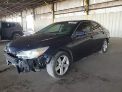 Salvage cars for sale at Phoenix, AZ auction: 2015 Toyota Camry LE