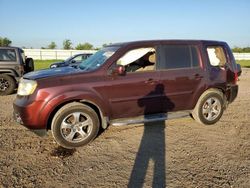 Honda salvage cars for sale: 2012 Honda Pilot EXL