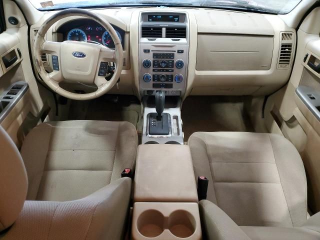 2009 Ford Escape XLT