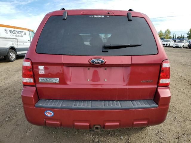 2008 Ford Escape XLT