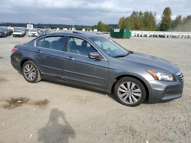 2011 Honda Accord EXL