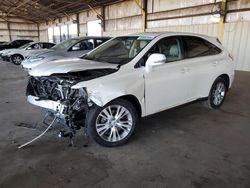 Salvage cars for sale at Phoenix, AZ auction: 2010 Lexus RX 450H