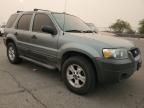 2005 Ford Escape XLT